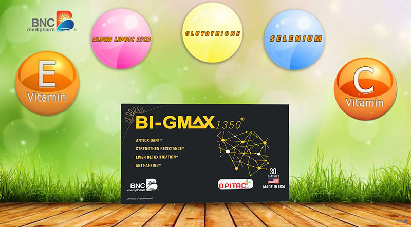Bi-gmax 1350